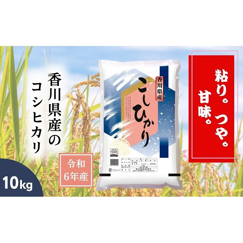 【令和6年産】香川県産 コシヒカリ 10kg 1袋　米 お米 精米 こしひかり 粘り つや 甘味