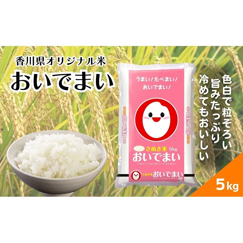 【令和6年産】香川県産 おいでまい 5kg 1袋　米 お米 精米  おいで米 粘り 旨み