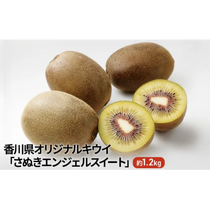 香川県オリジナルキウイ「さぬきエンジェルスイート」約1.2kg　果実 甘い 讃岐 くだもの ジューシー フルーツ