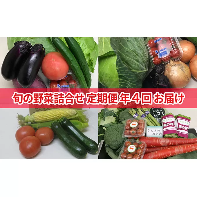 旬の野菜詰合せ（年間4回定期便）