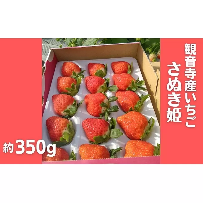 数量限定　観音寺産いちご（さぬき姫）約350g×1箱