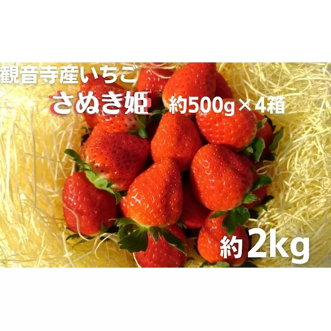 数量限定　観音寺産いちご（さぬき姫）バラ詰め約2kg（約500g×4箱）