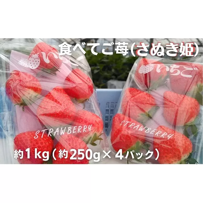 食べてご苺（さぬき姫）約1kg（約250g×4パック）