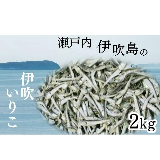 伊吹いりこ 2kg 出汁 さぬき特産