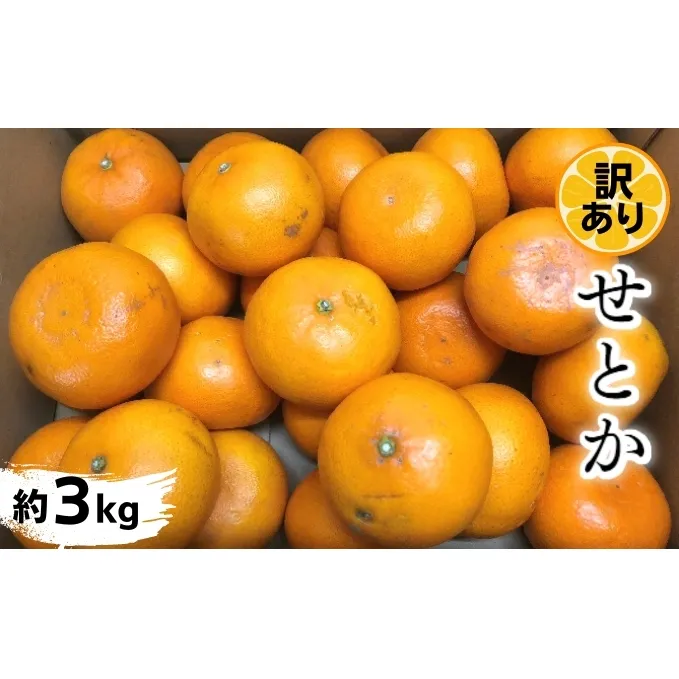 《訳あり》 せとか 3kg 甘い みかん （ 訳アリ お取り寄せ 美味しい せとかみかん せとかふるさと納税 7000円 果物 くだもの 季節限定 柑橘 蜜柑 かんきつ おすすめ フルーツ 青果 特産品 ）