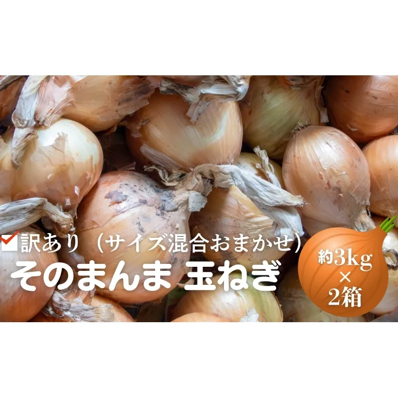 訳あり（サイズ混合おまかせ）そのまんま 玉ねぎ（約3kg×2箱）計約6kg たまねぎ 野菜 