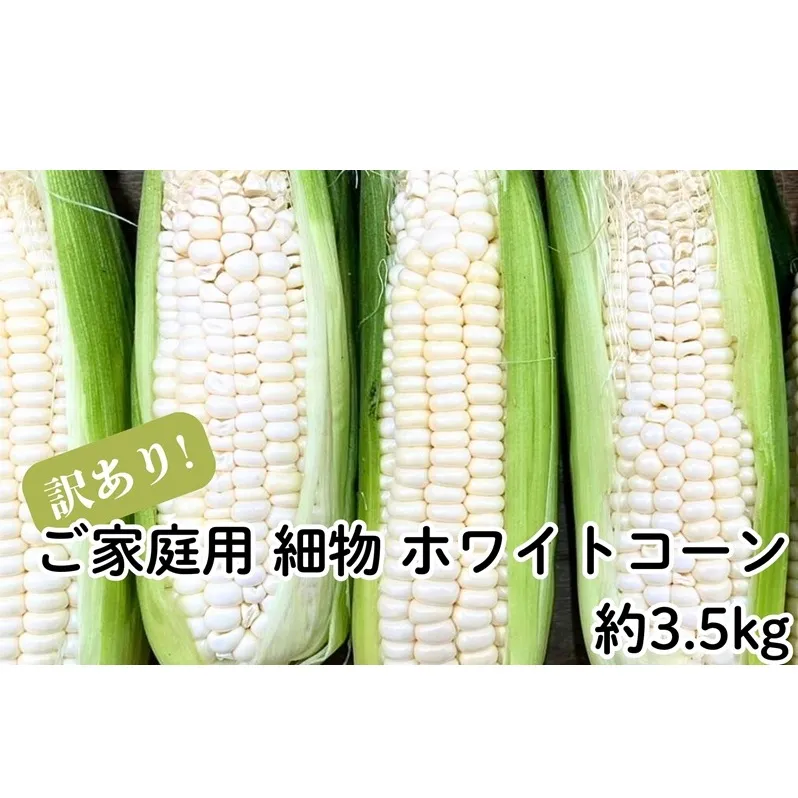 ご家庭用 細物 ホワイトコーン 約3.5kg とうもろこし 野菜