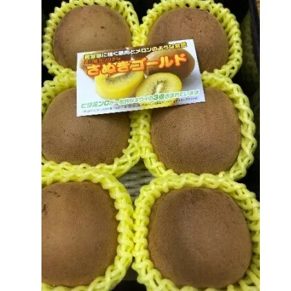 香川県オリジナルキウイ「さぬきゴールド」大玉約1.2kg　果実 甘い 讃岐 くだもの ジューシー フルーツ