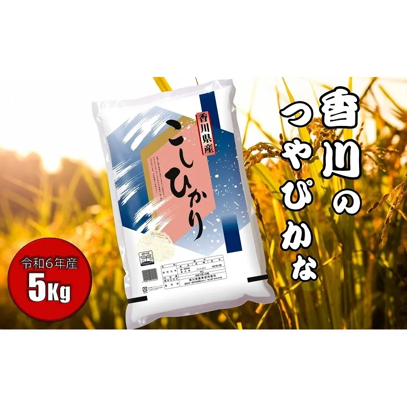 【令和6年産】　香川のお米　コシヒカリ　5kg お米