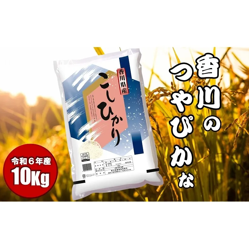 【令和6年産】　香川のお米　コシヒカリ　10kg お米