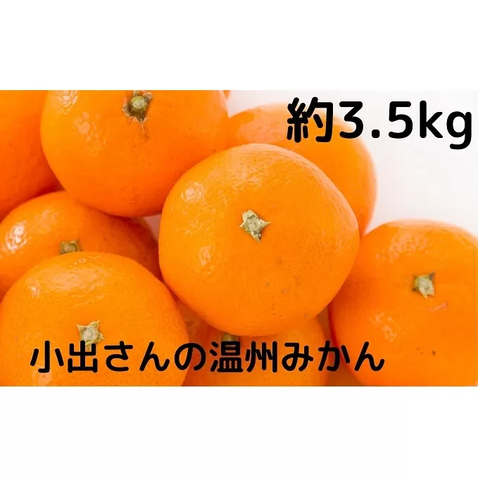 小出さんの温州 みかん 約3.5kg