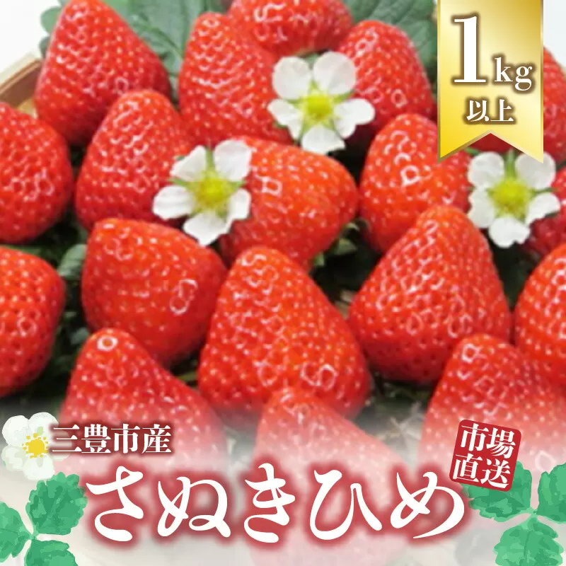 【2025年出荷　先行予約】三豊市産【市場直送 さぬきひめ 1.0ｋｇ以上】_M64-0015