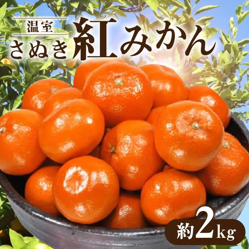 【先行予約】【配送不可地域：北海道・沖縄県・離島】温室さぬき紅みかん 約2kg_M02-0056