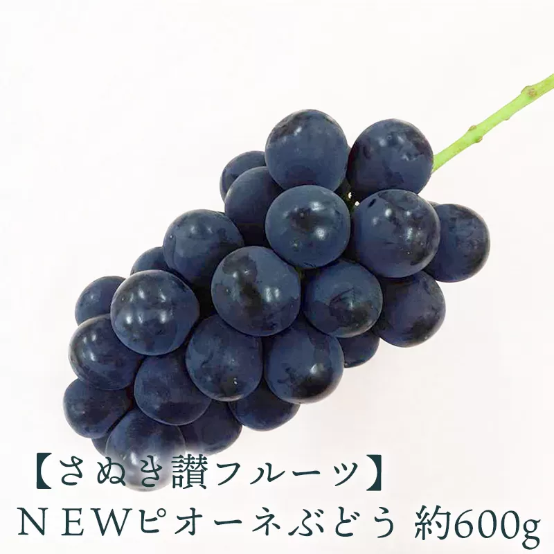 ＮＥＷピオーネぶどう 約600ｇ_M72-0031