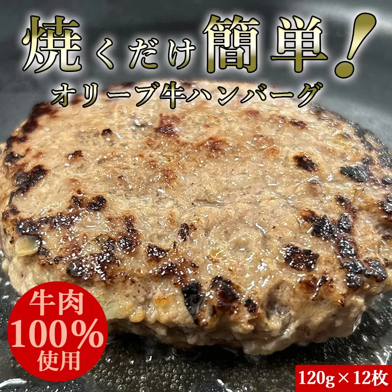 オリーブ牛100％ハンバーグ120g×12 食べ応え十分！解凍して焼くだけ！_M04-2006-12