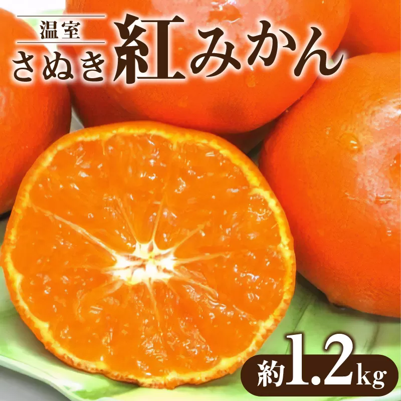 【先行予約】【配送不可地域：北海道・沖縄県・離島】温室さぬき紅みかん 約1.2kg_M02-0055