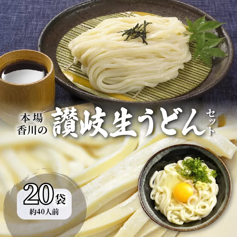 【6回定期便】うどん 香川 讃岐生うどん セット 40人前 小分け 20袋_M104-0006