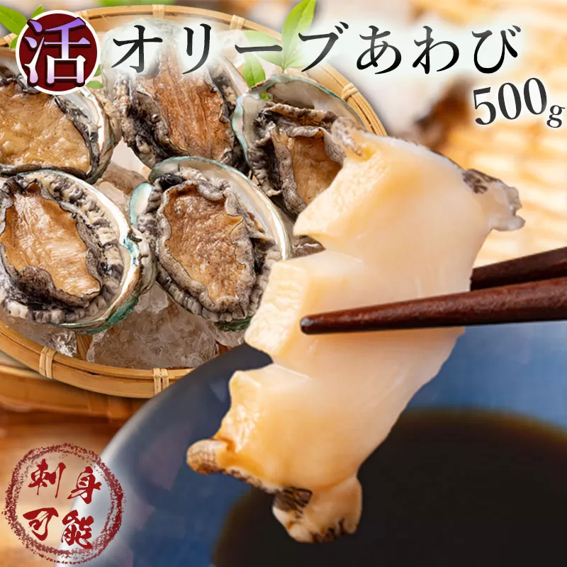 オリーブあわび　約500g（5個入り前後）殻付き【配送不可地域：北海道・東北・沖縄県・離島】_M77-0003