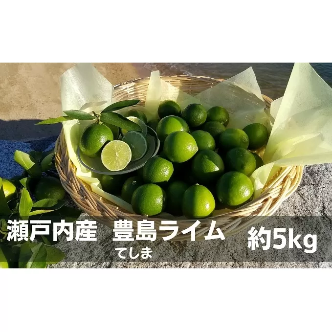 瀬戸内産 豊島ライム 約 5kg