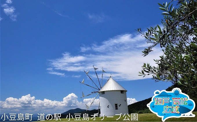 ストア オリーブとアートの島