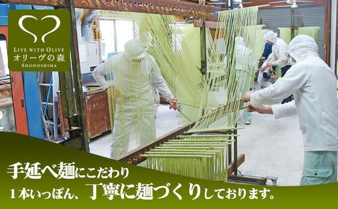 オリーヴの森 手延べ半生オリーヴうどん 小豆島産オリーヴオイル仕立て 6ケパック｜土庄町｜香川県｜返礼品をさがす｜まいふる by AEON CARD