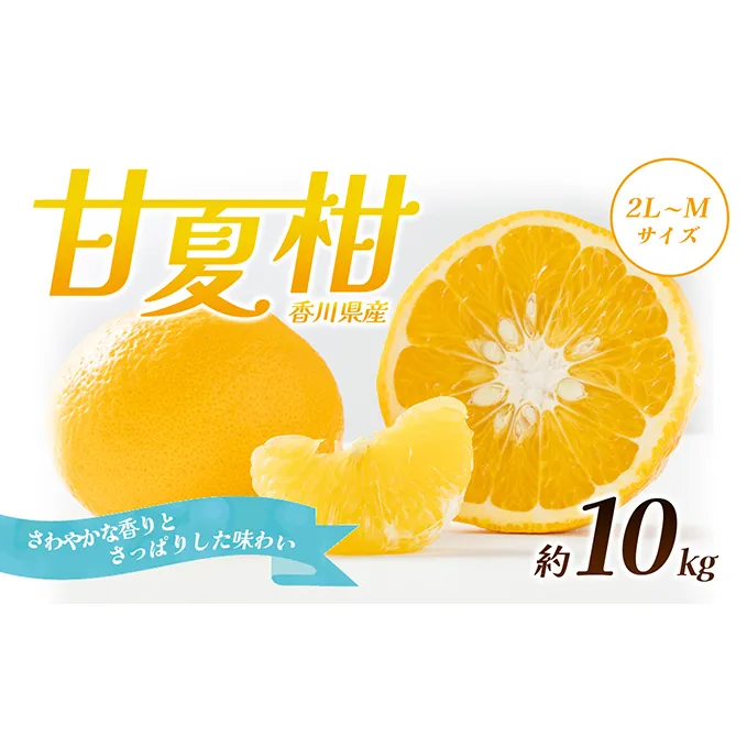 甘夏柑　約10kg