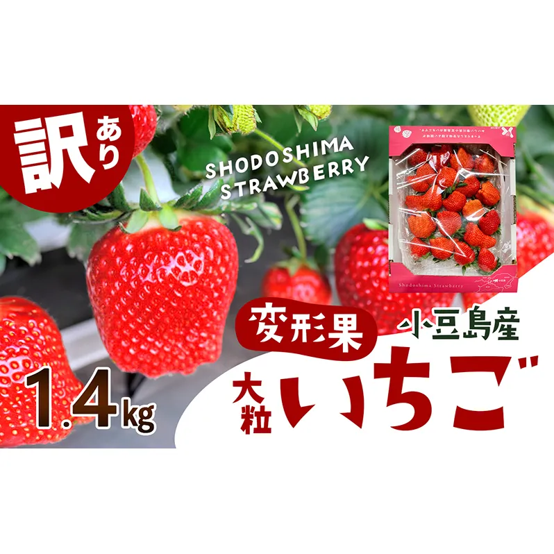 【配送エリア限定商品】＜訳あり・大粒＞小豆島産　変形果いちご　1.4kg