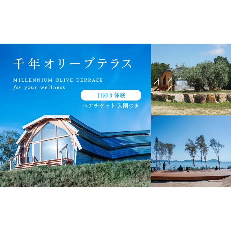 千年オリーブテラス for your wellness　日帰り体験（入園つき）ペアチケット マインドフルネス体験 体験 体験チケット オリーブテラス 日帰り 小豆島