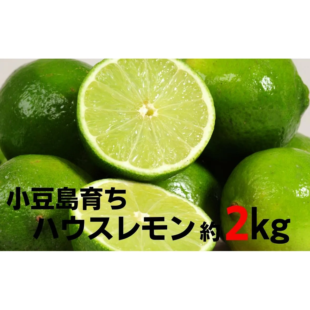 小豆島ハウスレモン 約2kg