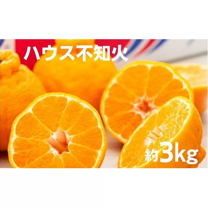 ハウス 不知火　約3kg 化粧箱