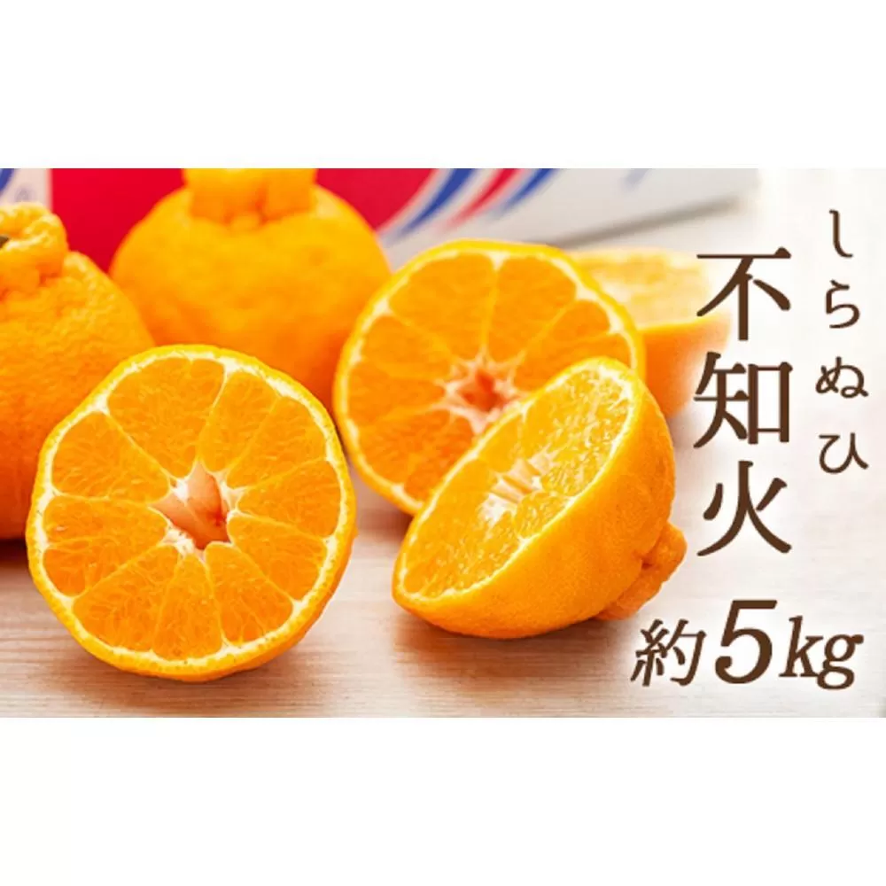 不知火 (しらぬひ) 約5kg（12～24玉入り）【2025年2月～3月発送】