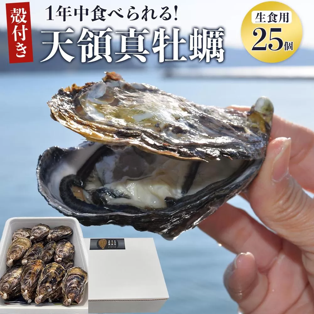 小豆島 天領真牡蠣 (殻付き生食用) 25個セット