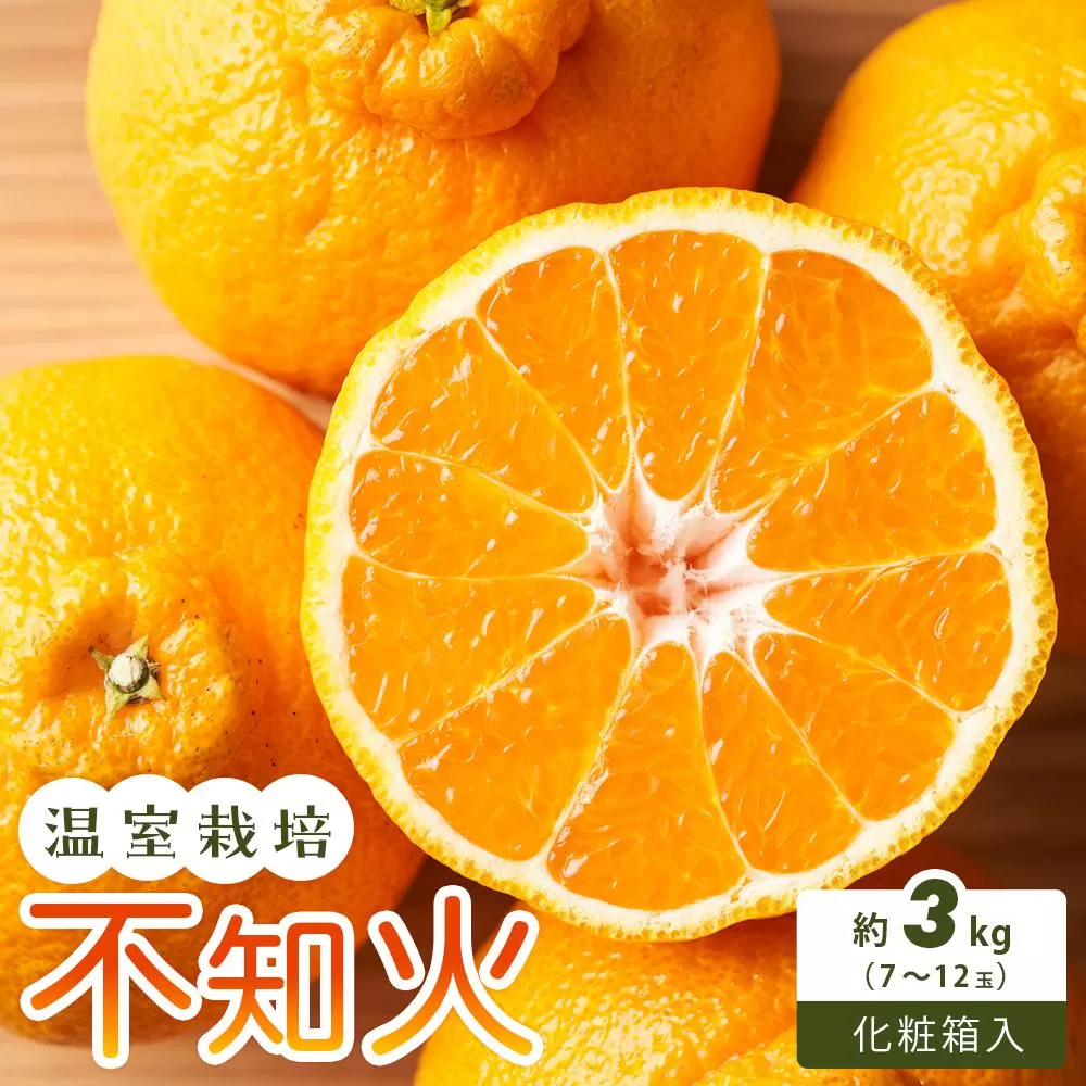 【さぬき讃フルーツ】不知火 (温室栽培) 化粧箱入り 約3kg