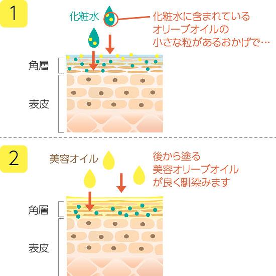 井上 誠 耕 園 オリーブ コレクション 化粧 水