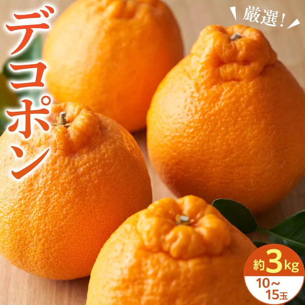 厳選！濃厚甘味の「デコポン」約3kg（10～15玉）