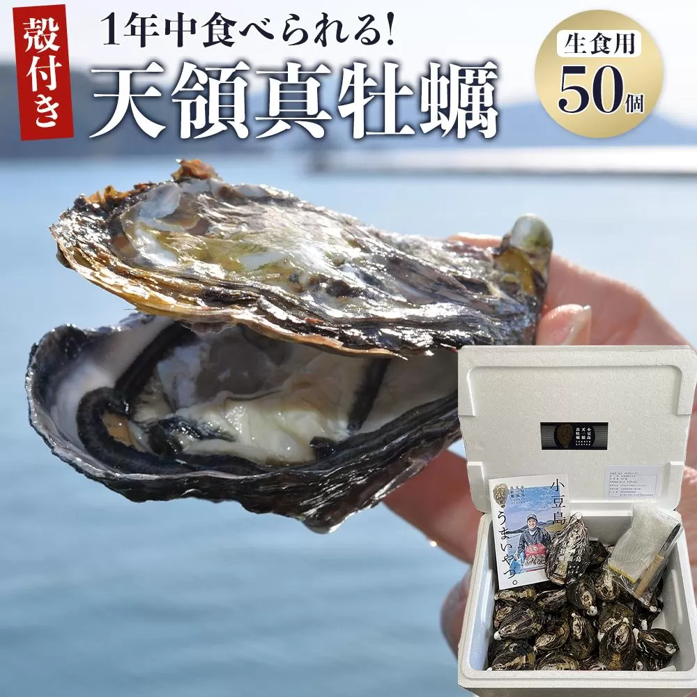 小豆島 天領真牡蠣 (殻付き生食用) 50個セット