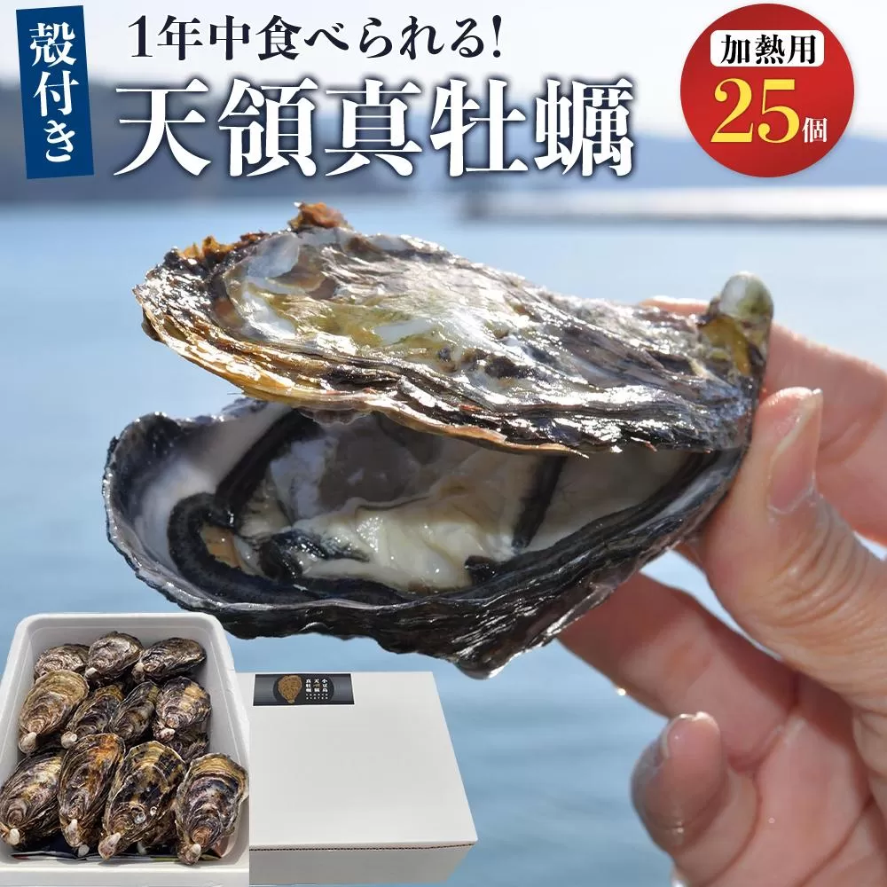 小豆島 天領真牡蠣 (殻付き加熱用) 25個セット