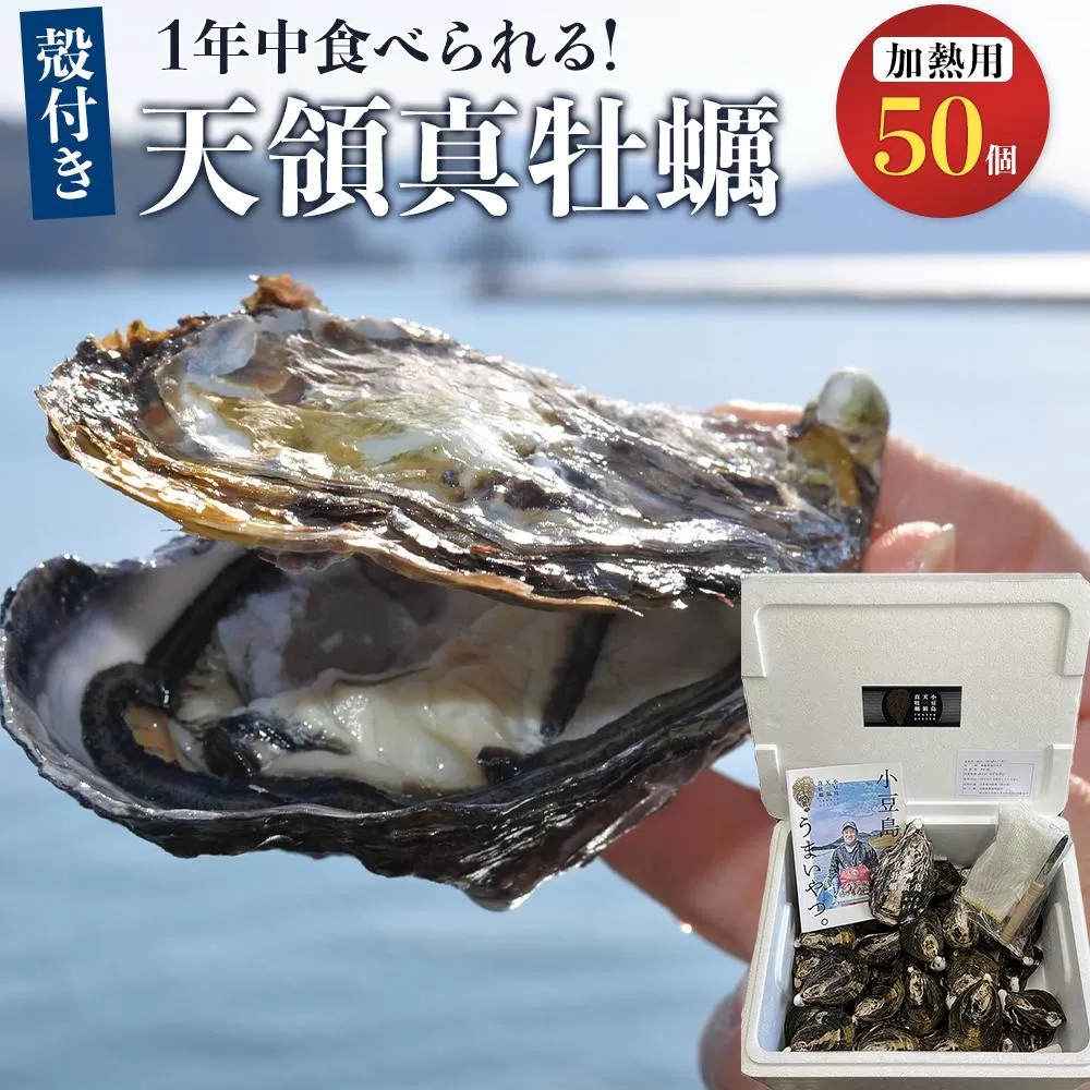 小豆島 天領真牡蠣 (殻付き加熱用) 50個セット