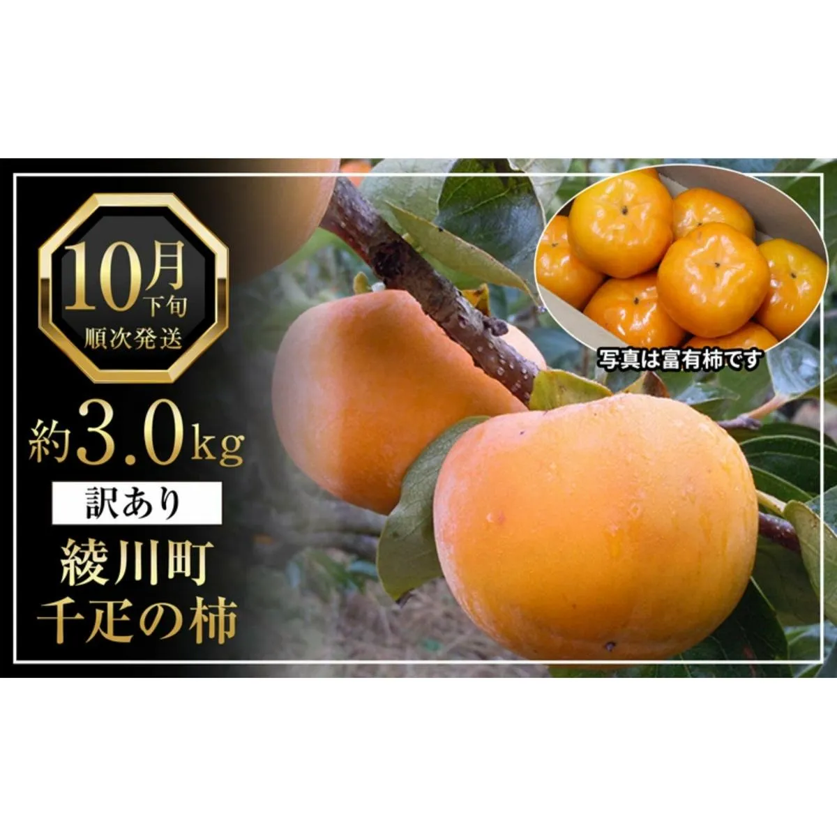全国でも有名な「綾川町産千疋の柿」訳ありサイズ混合 約3.0kg