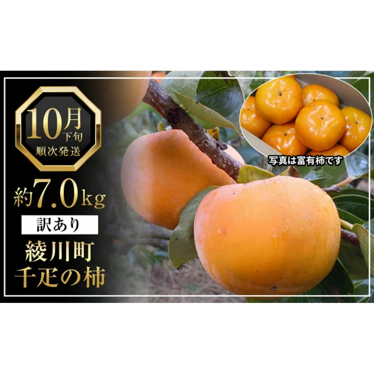 全国でも有名な「綾川町産千疋の柿」訳ありサイズ混合 約7.0kg