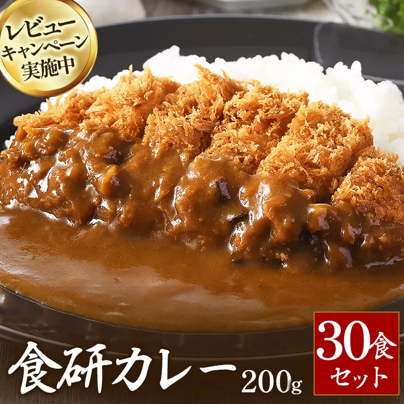 食研カレー２００ｇ×30袋 【VB02360SET30】