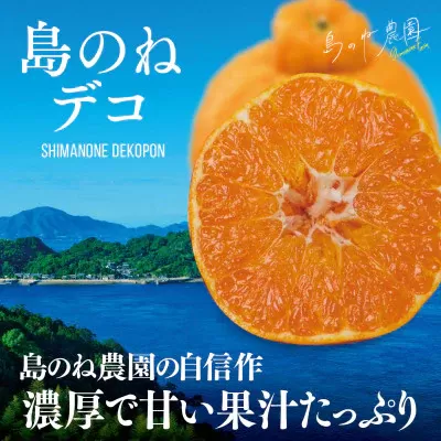 【数量限定】島のね農園のプレミアム不知火　島のねデコ　４ｋｇ