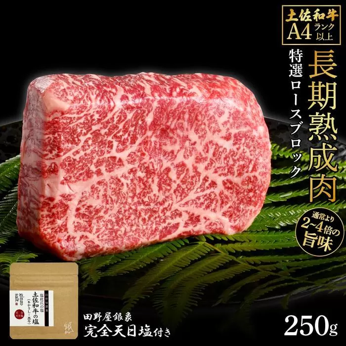 熟成肉　土佐和牛　特選ロースブロック　約250g　田野屋銀象完全天日塩付き