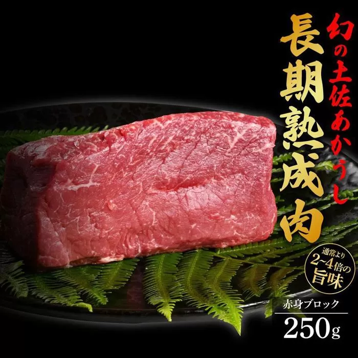 エイジング工法　熟成肉　土佐あかうし　特選赤身　ブロック　約250ｇ（冷凍）