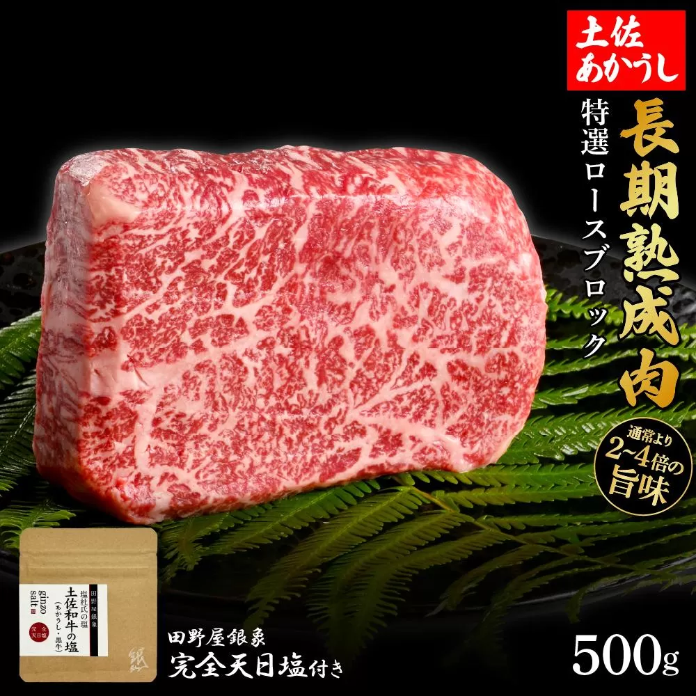 熟成肉　土佐あかうし　特選ロースブロック　約500g　田野屋銀象完全天日塩付き