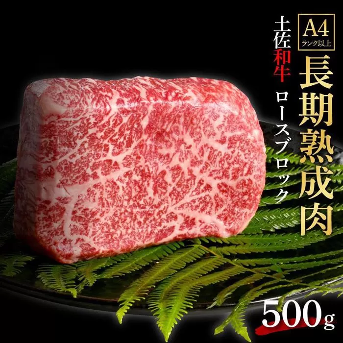 エイジング工法　熟成肉　土佐和牛　特選ロース　ブロック　約500g　冷凍