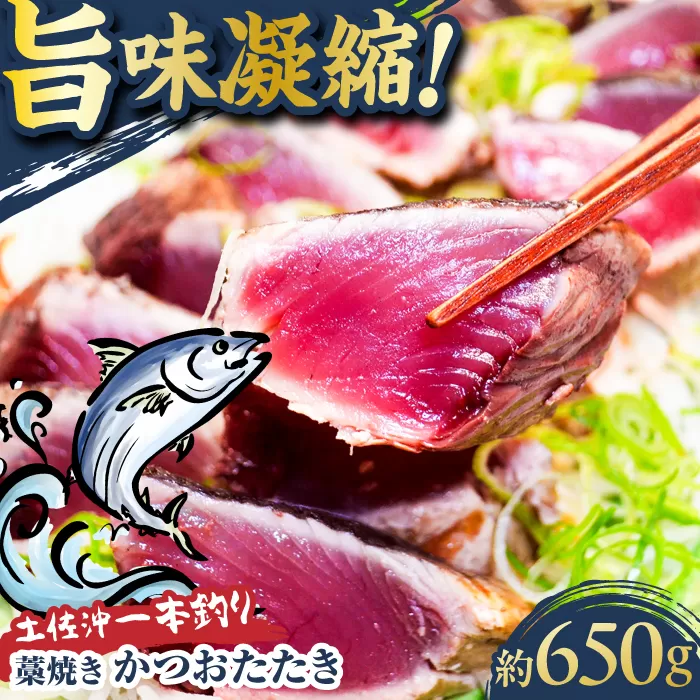 土佐沖一本釣り藁焼きかつおたたき 約650g (3-5個)[株式会社高知大丸] [ATEZ008]