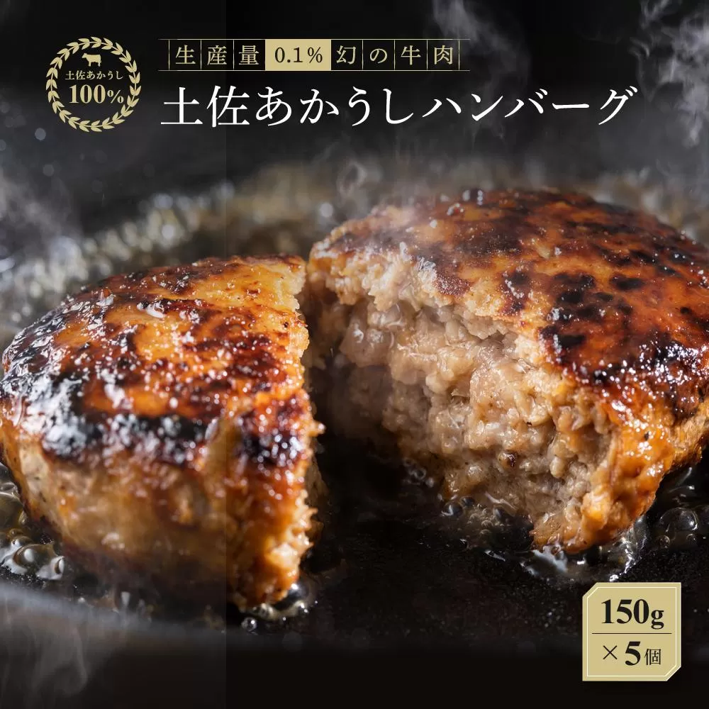 【土佐あかうし100％】土佐あかうしハンバーグ　150g×5コ