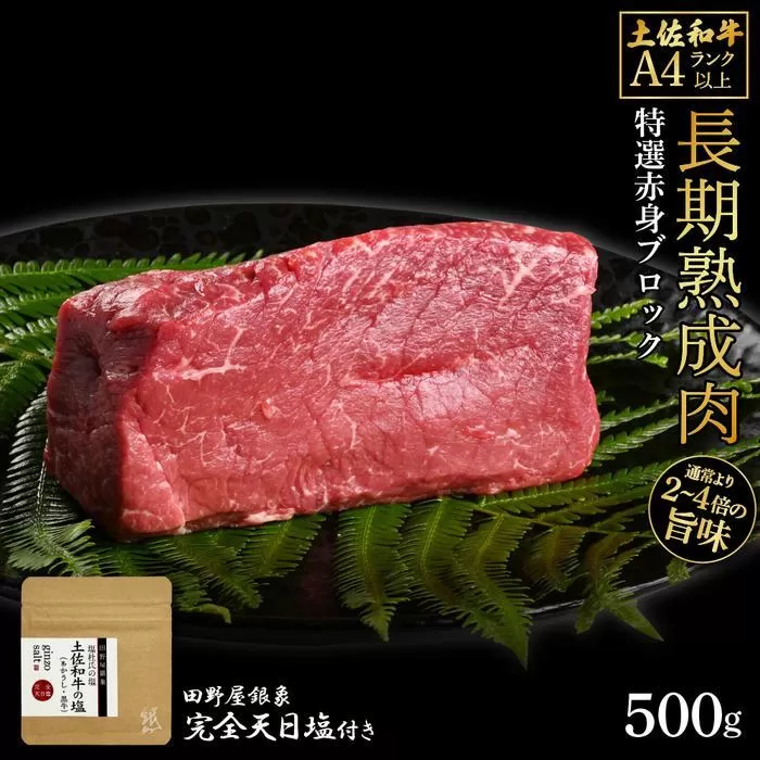 熟成肉　土佐和牛　特選赤身ブロック　約500g　田野屋銀象完全天日塩付き