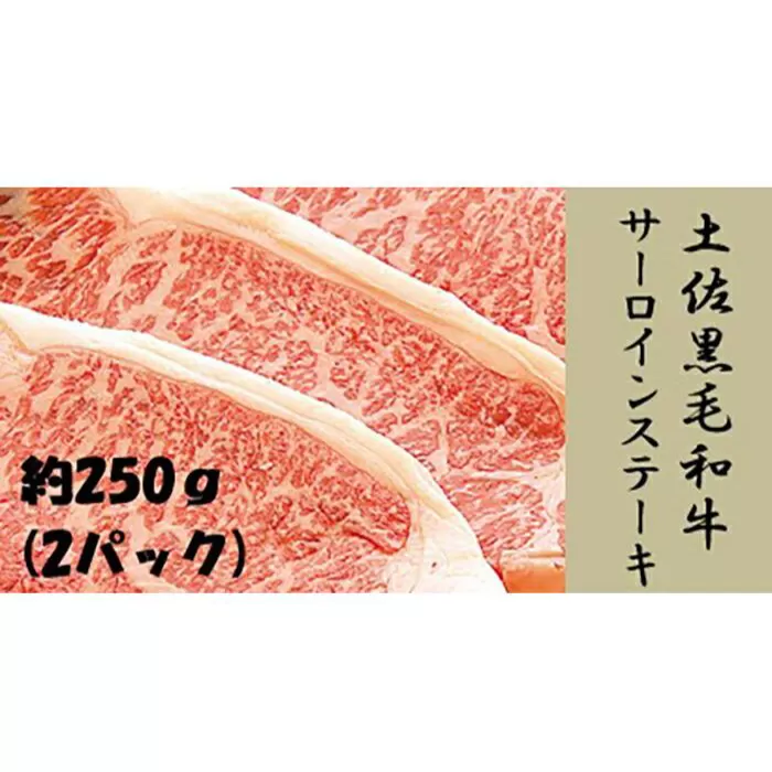土佐黒毛和牛　サーロインステーキ　約250g×２枚【（有）蔵多堂】 [ATAE004]
